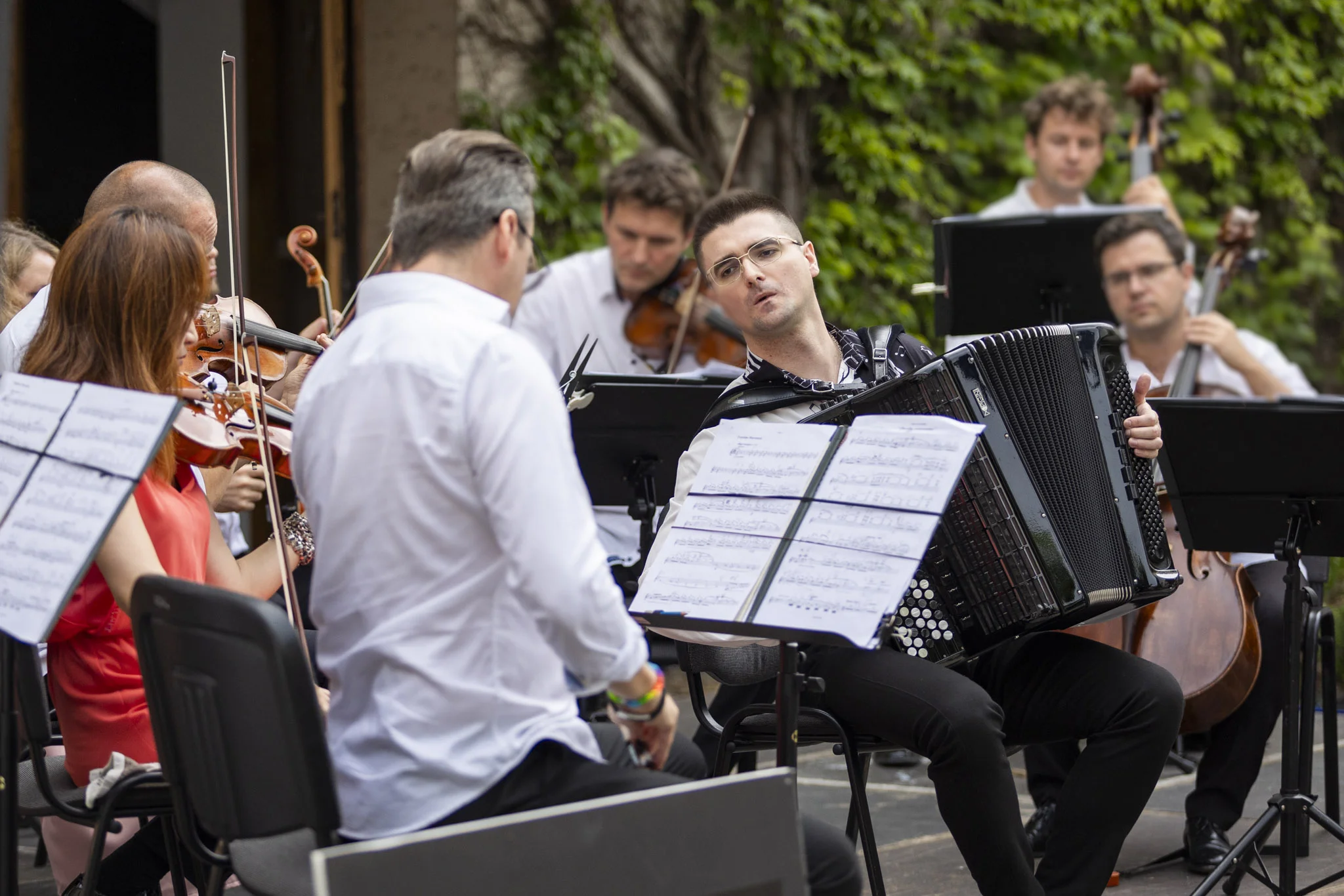 Piotr Zarzyka | Oferta Akordeon Solo